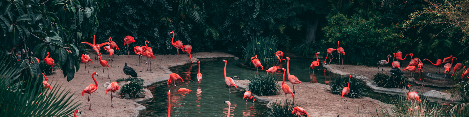 张家界六方国际旅行社有限公司